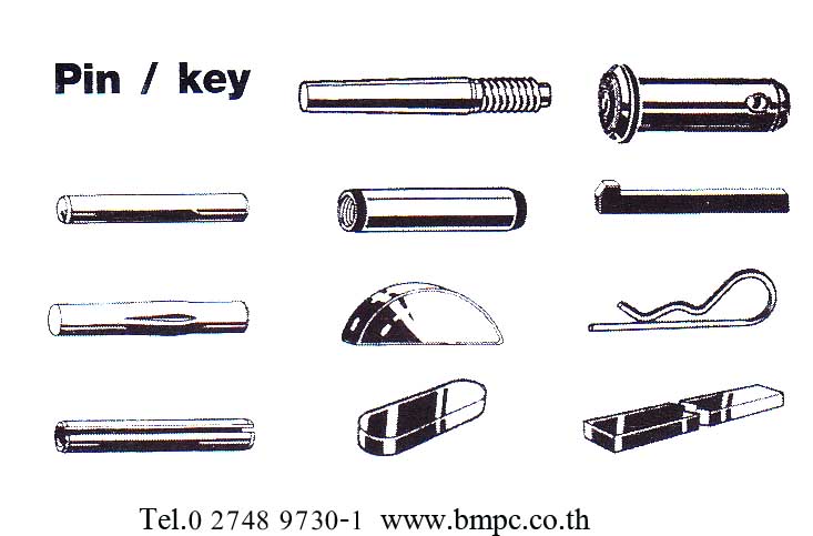 Dowel pin,Taper pin, Parallel pin, Grooved pin, Spring pin, Split pin, Cotter pin, Linch pin, Bright key, parllel key, Round head rivet